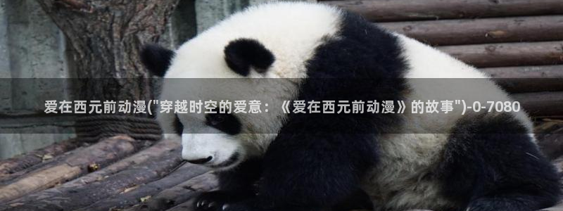 动漫培训：爱在西元前动漫(\
