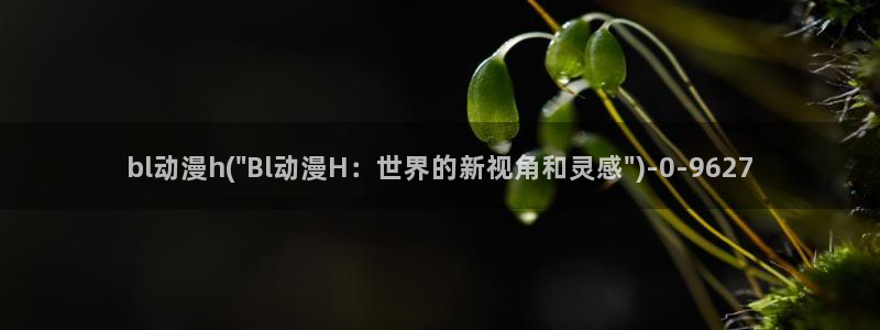 acg动漫网：bl动漫h(\