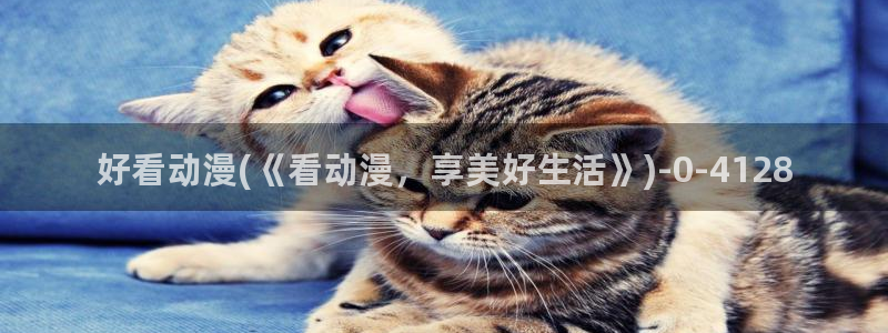 夫妻成长日记动漫