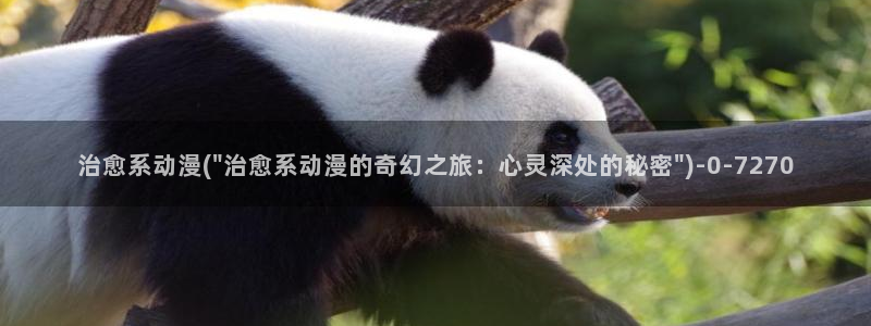 51动漫