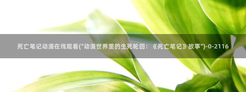 cc动漫