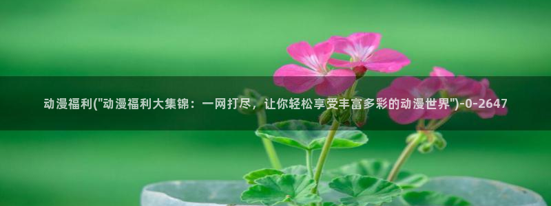 动漫二次元