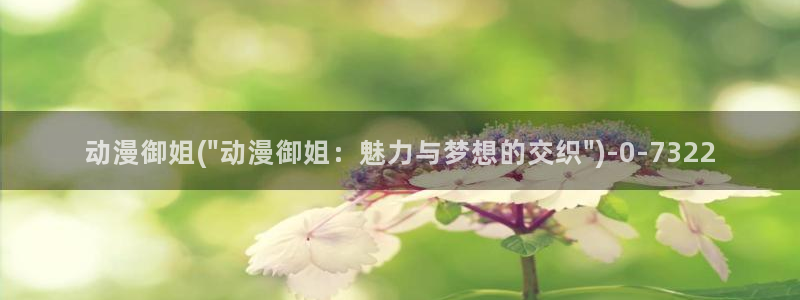 动漫天堂